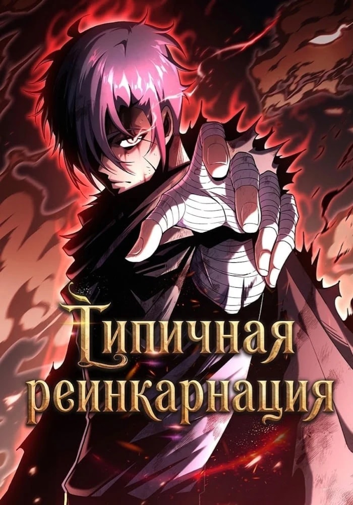 Типичная реинкарнация — обложка